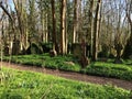 Green view in cemetery