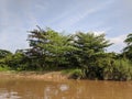 Green view of Kapuas river channel against blue sky background in Indonesian Borneo 21