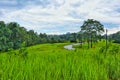 View Khao yai national park, Thailand