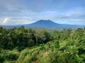 Green view of Salak Mount, Indonesia Royalty Free Stock Photo