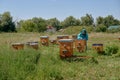 Green village meadow with bee houses and apiarist. Royalty Free Stock Photo