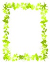 Green Vine Leaf Frame Borders Royalty Free Stock Photo