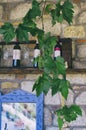 Green vine leaves with wine bottles Royalty Free Stock Photo