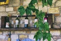 Green vine leaves with wine bottles Royalty Free Stock Photo