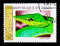 Green Vine Snake (Oxybelis fulgidus), Snakes serie, circa 1999 Royalty Free Stock Photo