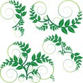 Green vine vector