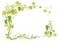 Green vineyard frame Royalty Free Stock Photo