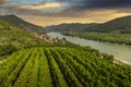 Green vineyard landscape in Wachau valley with the river Danube and town Spitz on a sunset. Lower Austria Royalty Free Stock Photo