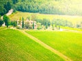 Green vineyards of Chianti. Sunny day in beautiful Tuscan landscape, Italy Royalty Free Stock Photo