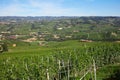 Green vineyards and Langhe hills landscape view in a sunny day in Italy Royalty Free Stock Photo