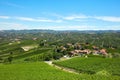 Green vineyards, Langhe hills in Piedmont, Italy in a sunny day Royalty Free Stock Photo