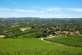 Green vineyards, Piedmont landscape in a sunny day, blue sky Royalty Free Stock Photo