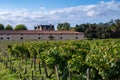 Tasting of Bordeaux blended red wine on green vineyards with rows of red Cabernet Sauvignon grape variety of Haut-Medoc vineyards Royalty Free Stock Photo