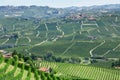 Green vineyards and Serralunga Alba in Piedmont, Italy Royalty Free Stock Photo