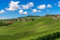 Green vineyards under blue sky with white clouds in Italy.