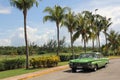 Green vintage American car rides along a row of tall palm trees