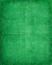 Green Vintage Cloth