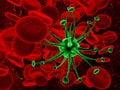 Green virus inside in red cells - 3D illustration