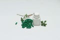 Green vitamin capsule, bottle and basil leaves. Royalty Free Stock Photo