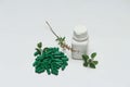 Green vitamin capsule, white bottle and holy basil leaves. Royalty Free Stock Photo