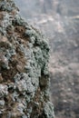 Green volcanic rock at Vesuvius volcano near Naples in Italy