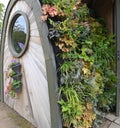 Green wall, eco friendly vertical garden on building. Royalty Free Stock Photo