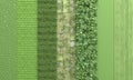 Green wall with set textures of stone, brick masonry, grass, tile, wooden board, vertical gardening. Green background. 3D