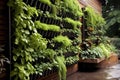 green wall system utilizing harvested rainwater