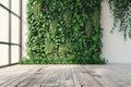 Green Wall Texture, Vertical Garden Background, Eco Bio Room Interior, Live Plans Pattern, Herbs, Creepers Royalty Free Stock Photo
