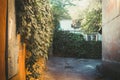 Green wall, view of the courtyard, Kherson