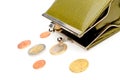 Green wallet and coins Royalty Free Stock Photo