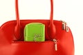 Green wallet in red handbag's