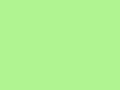 Green wallpaper. Apple green plain background. Royalty Free Stock Photo