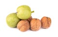 Green walnut, isolated on white background. Peeled walnut and kernels. Walnuts branch. Royalty Free Stock Photo