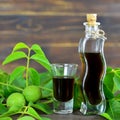 Green walnut liqueur Royalty Free Stock Photo