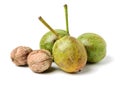 Green walnut; peeled walnut and its kernels. Royalty Free Stock Photo