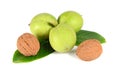 Green walnuts