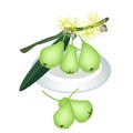 Green Water Apple on A White Plate