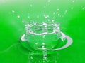 Green water bowl