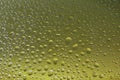 Green water drops background selected focus Royalty Free Stock Photo