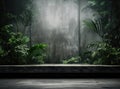 Empty interior landscape architecture background background old room plant concrete wall green nature interior floor Royalty Free Stock Photo