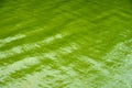 Motion of Green wave Water Pattern