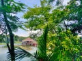 Green water of the pond with the little hut/ tukul in the middle surrounded by trees and bushes in beautiful bangladeshi park in