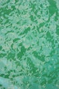 Green water surface Royalty Free Stock Photo