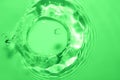 The green water surface reflects light. Royalty Free Stock Photo