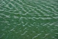 green water surface By wind.Water surface ruffled by light wind with small waves running diagonally, with reflections and Royalty Free Stock Photo