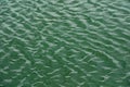 green water surface By wind.Water surface ruffled by light wind with small waves running diagonally, with reflections and Royalty Free Stock Photo