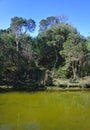 Green water on ugly abandoned creek