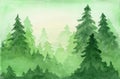 Green watercolor background with coniferous forest Royalty Free Stock Photo