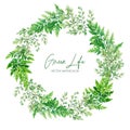 Green watercolor ferns wreath, hand drawn vector illustration